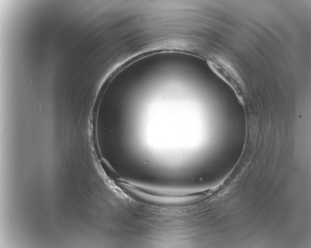 X0000070880944200606302134