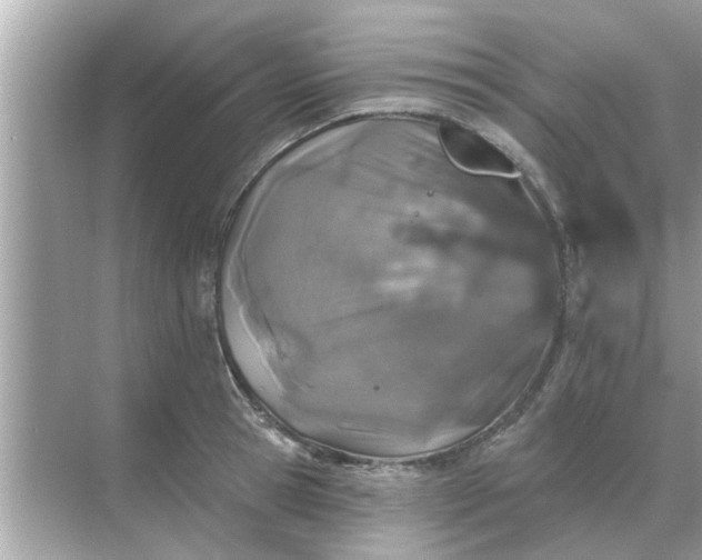 X0000070880945200606302134