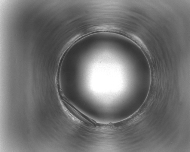 X0000070880946200606302134