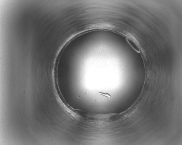 X0000070880947200606302134