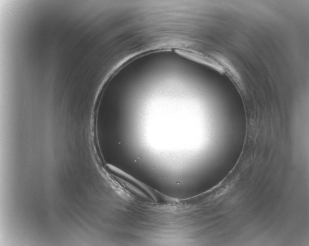 X0000070880948200606302134