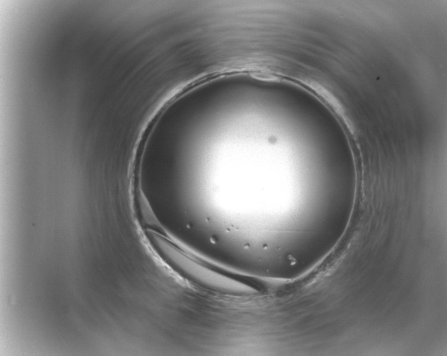 X0000070880949200606302134