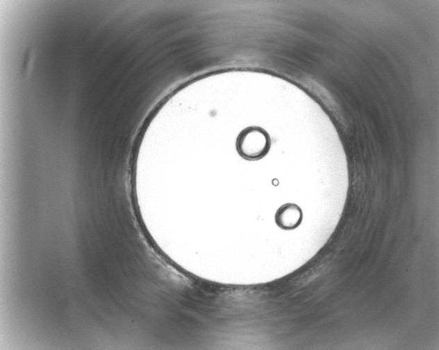 X0000070880950200606302134