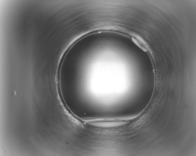 X0000070880951200606302134