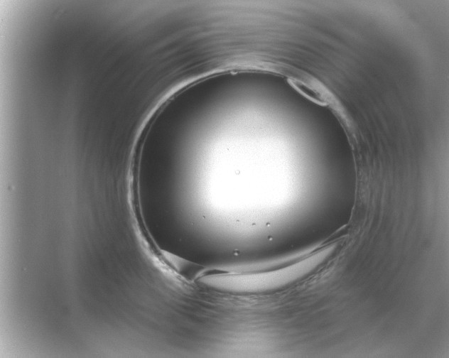 X0000070880955200606302134