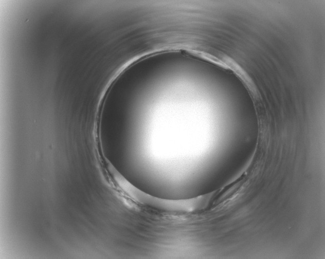 X0000070880956200606302134