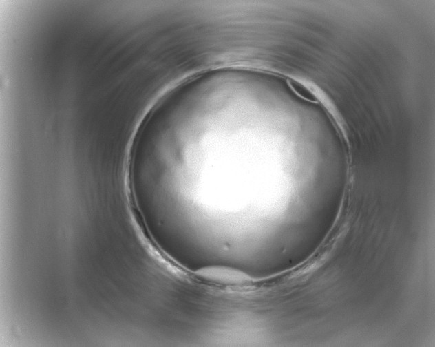 X0000070880957200606302134