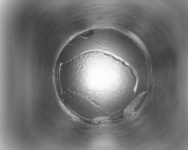 X0000070880958200606302134