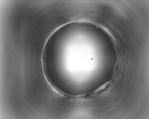 X0000070880959200606302134