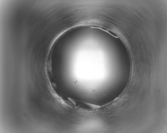 X0000070880960200606302134