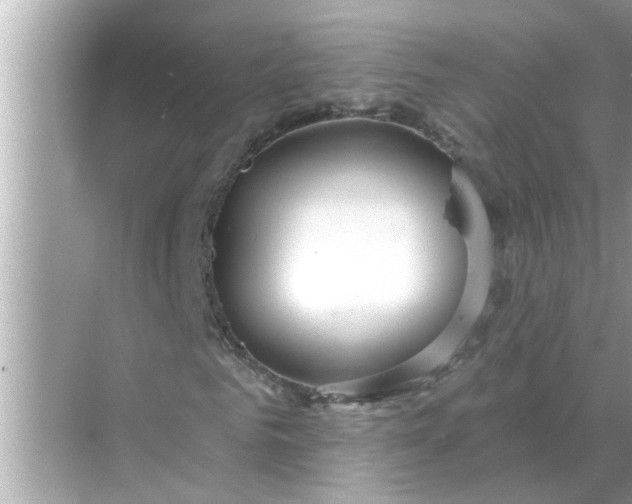 X0000070880961200606302133