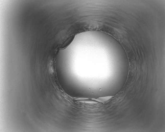 X0000070880962200606302133