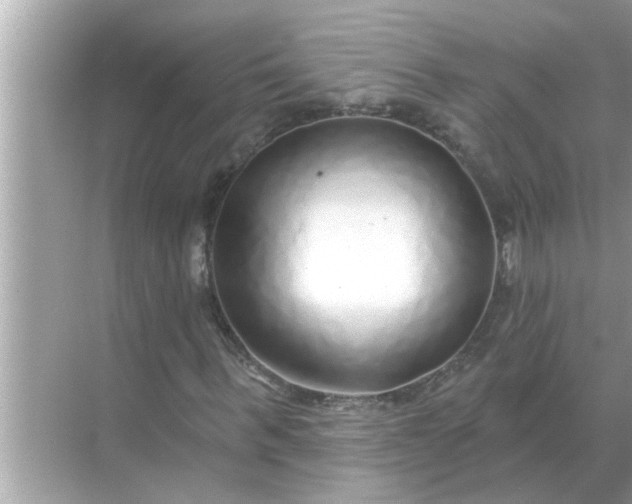 X0000070880963200606302133