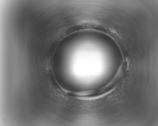 X0000070880965200606302133