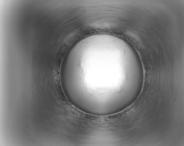 X0000070880966200606302133