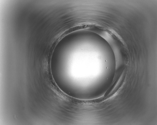 X0000070880969200606302133