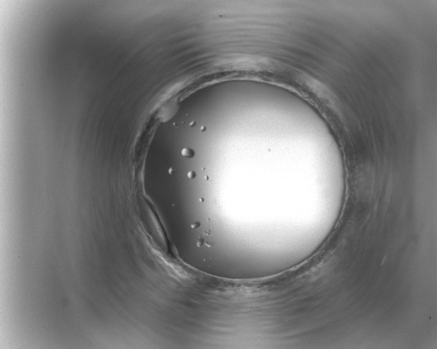 X0000070880970200606302133