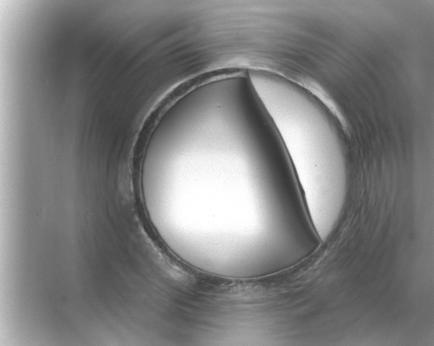 X0000070880972200606302133