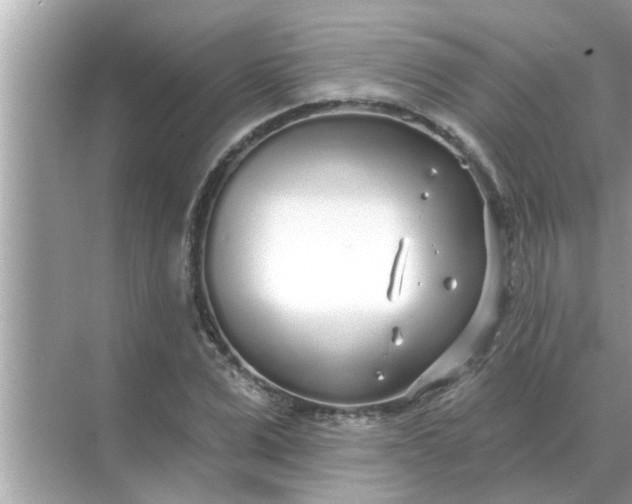 X0000070880975200606302133