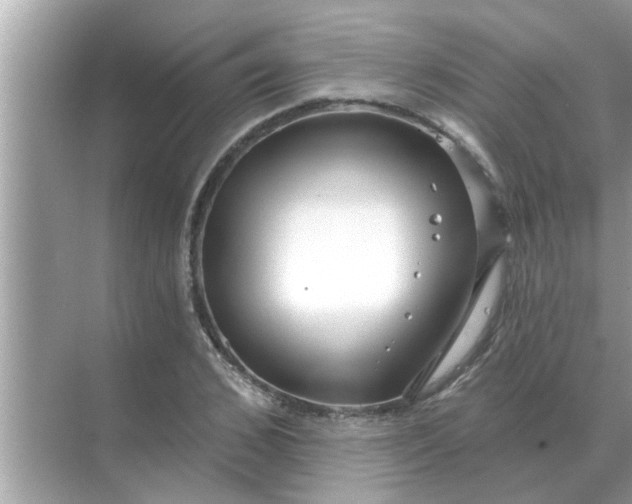 X0000070880976200606302133