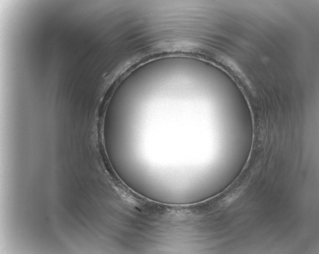 X0000070880978200606302133