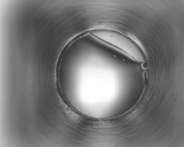 X0000070880980200606302133