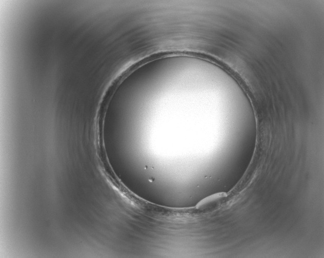 X0000070880982200606302133