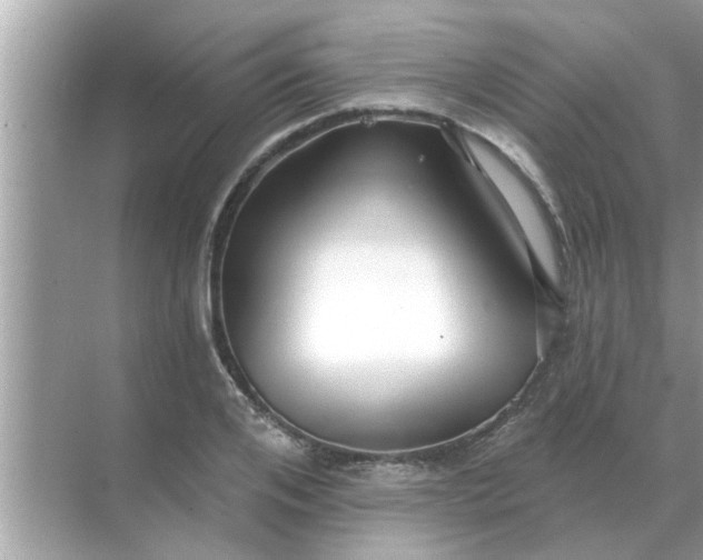 X0000070880984200606302133