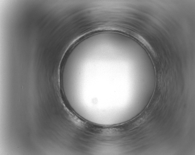 X0000070880988200606302133