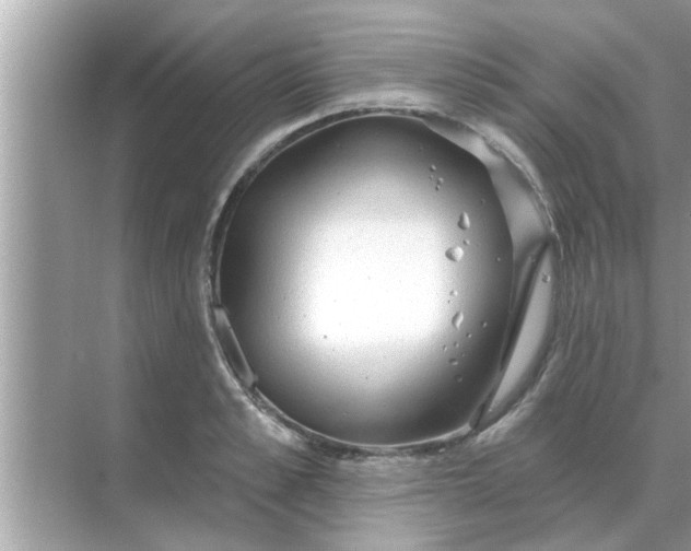 X0000070880989200606302133