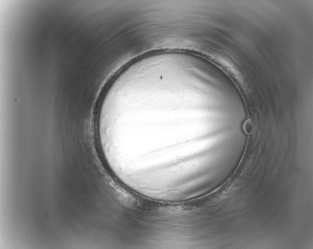 X0000070880990200606302133