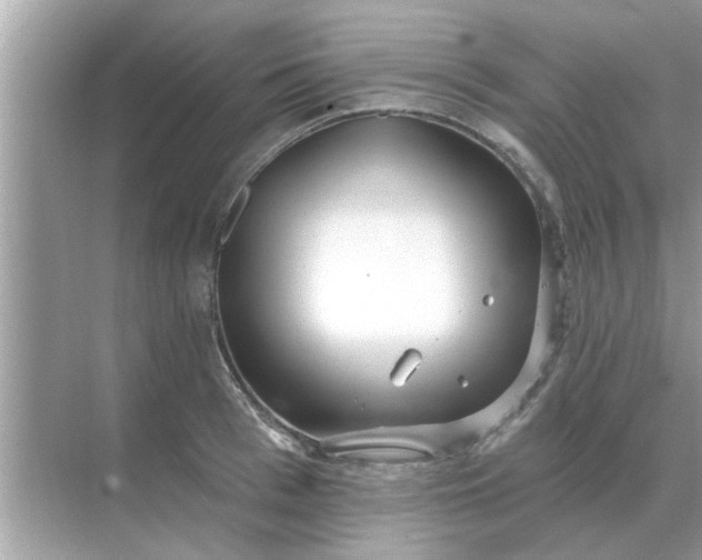 X0000070880993200606302133