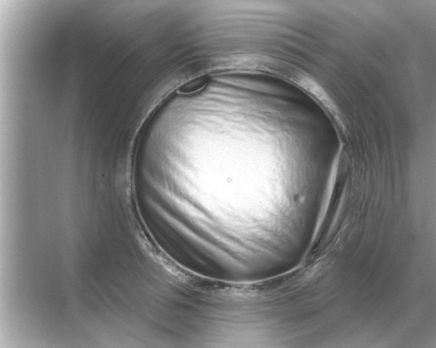 X0000070880994200606302133