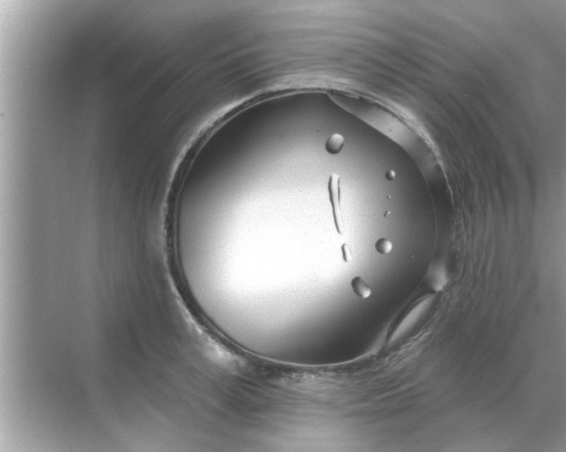 X0000070880995200606302133