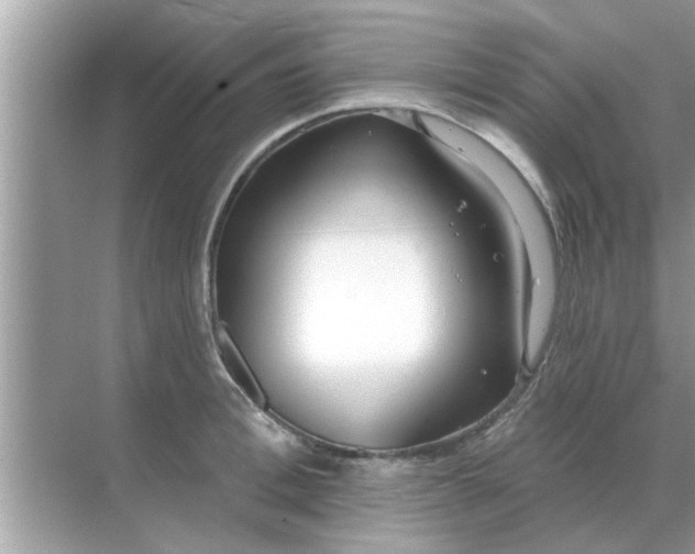 X0000070880996200606302133