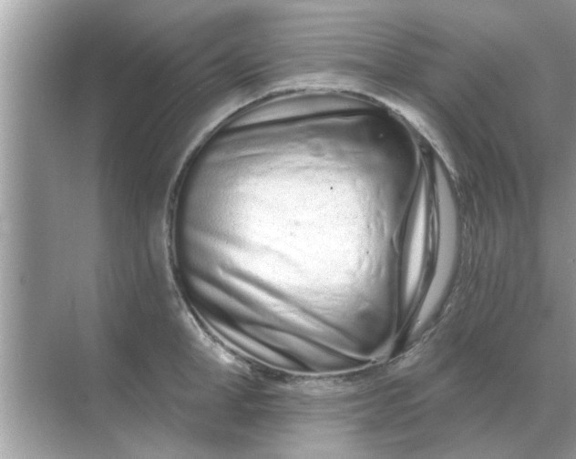 X0000070880998200606302133