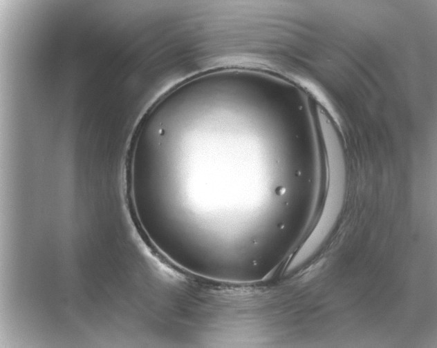 X0000070880999200606302133