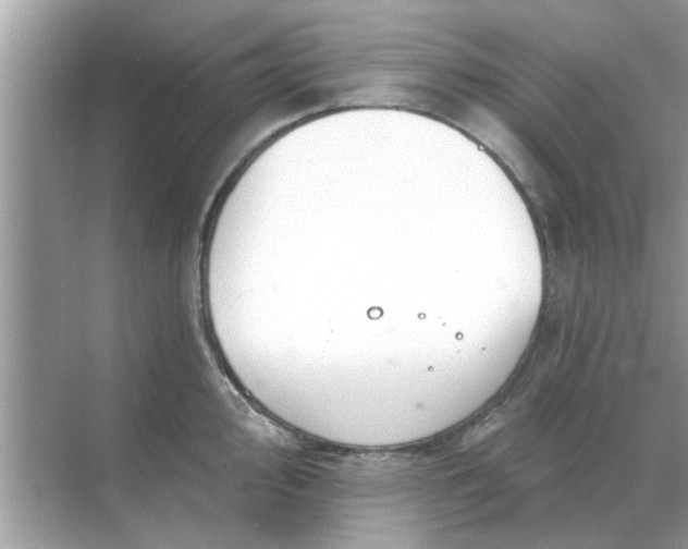 X0000070881000200606302133