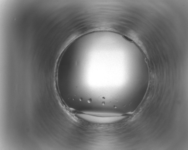 X0000070881002200606302133