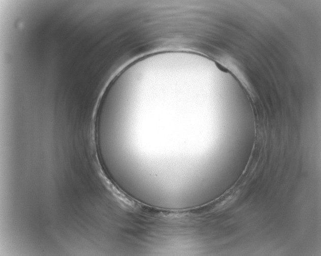 X0000070881004200606302133