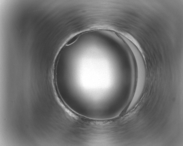 X0000070881005200606302133