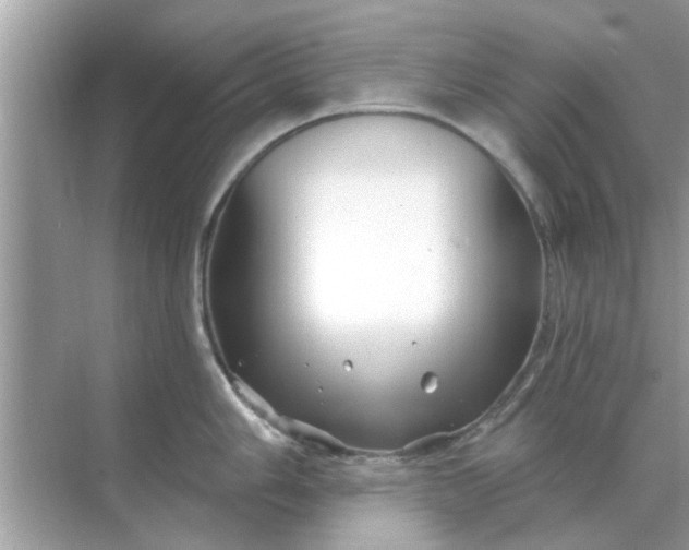 X0000070881006200606302133