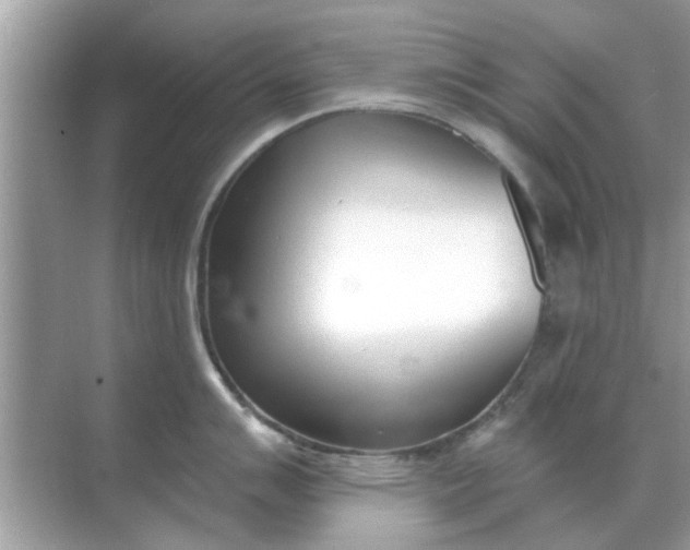 X0000070881007200606302132