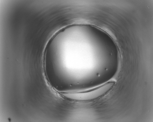 X0000070881008200606302132