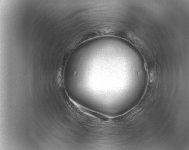 X0000070881011200606302132