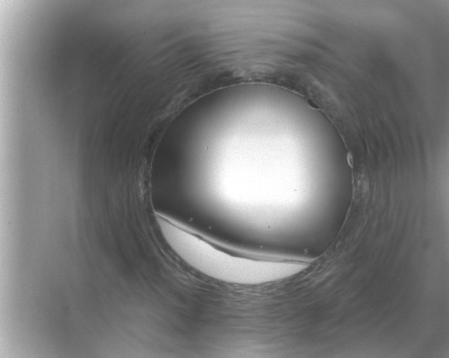 X0000070881012200606302132