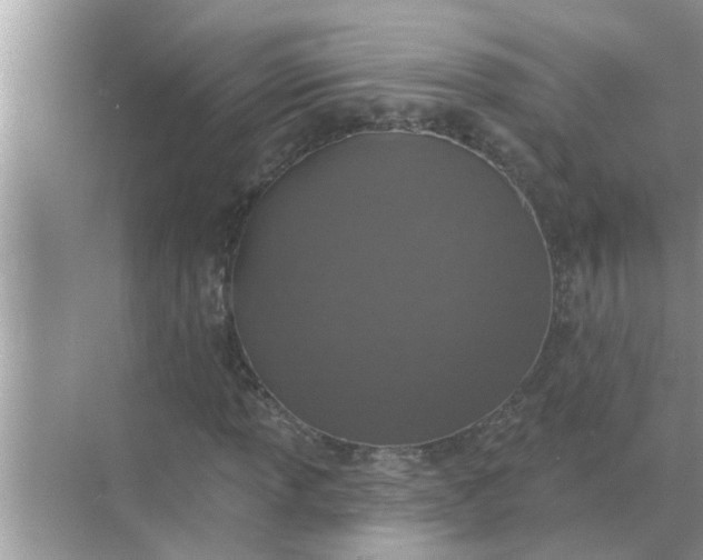 X0000070881013200606302132