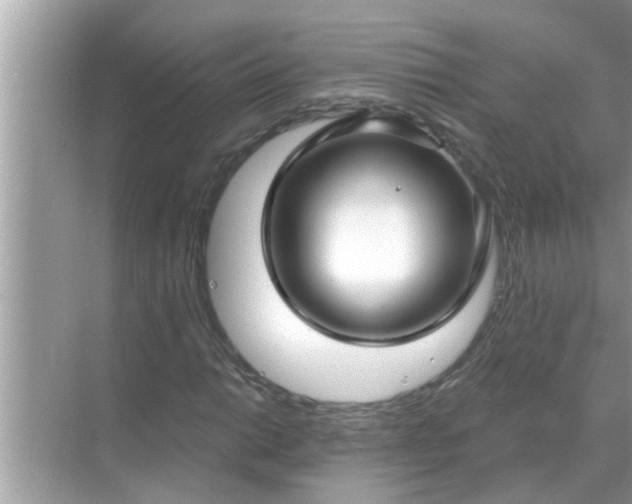 X0000070881014200606302132