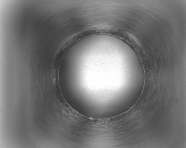 X0000070881016200606302132