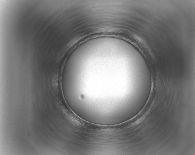 X0000070881017200606302132